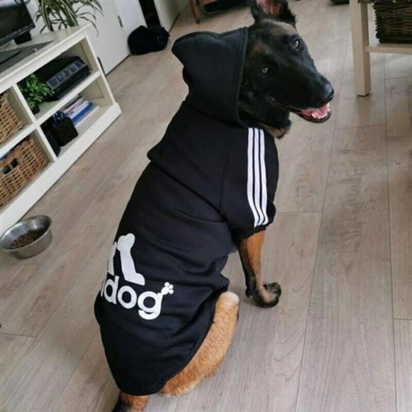 Adidog Other - Pet Dog Clothes for French Bulldog Golden Retriever Labrador Coat  Hoodie Jacket